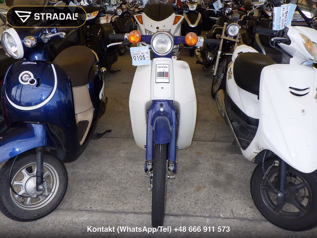 HONDA C50, miniaturka 6