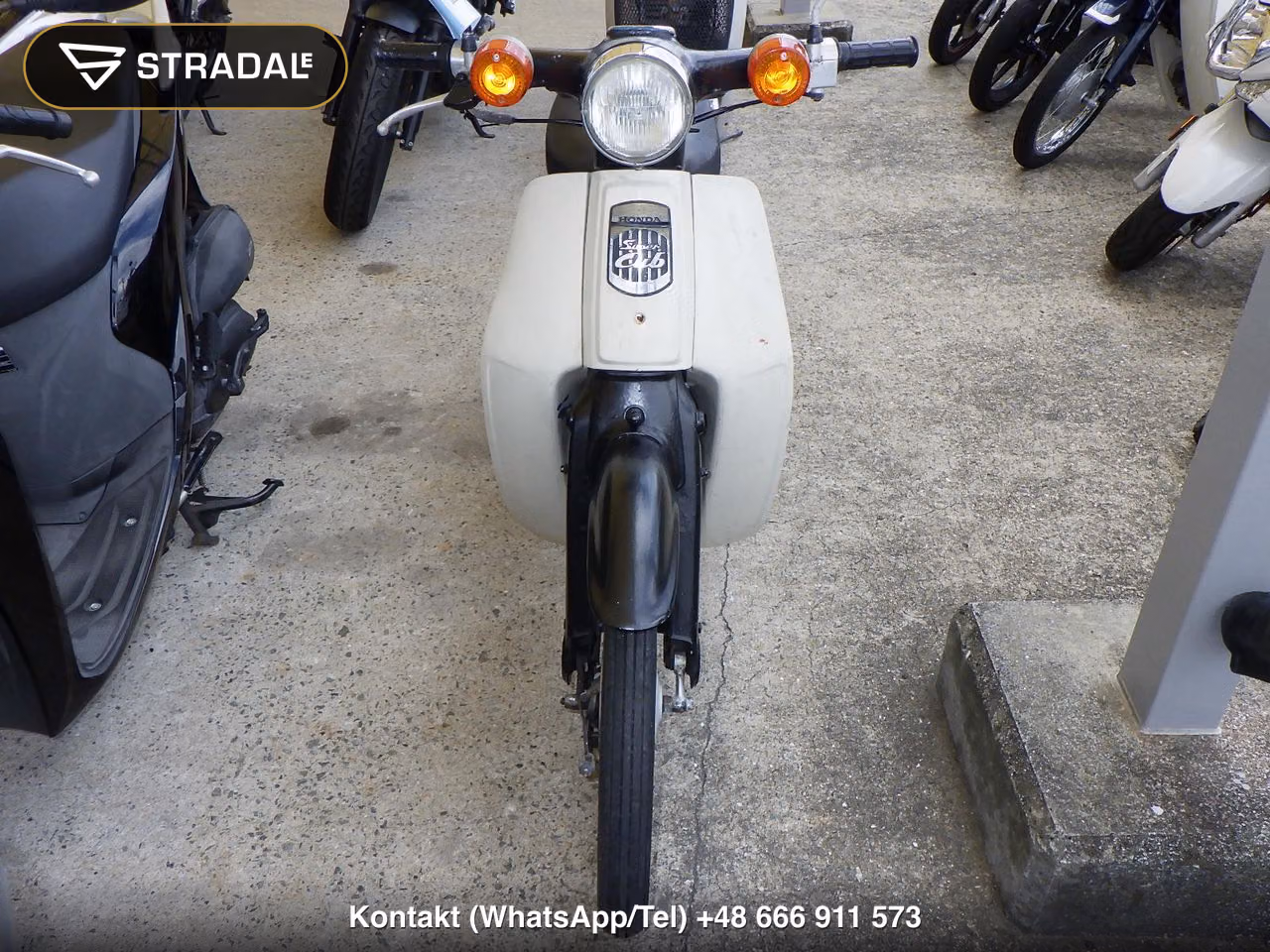 HONDA C50, miniaturka 6