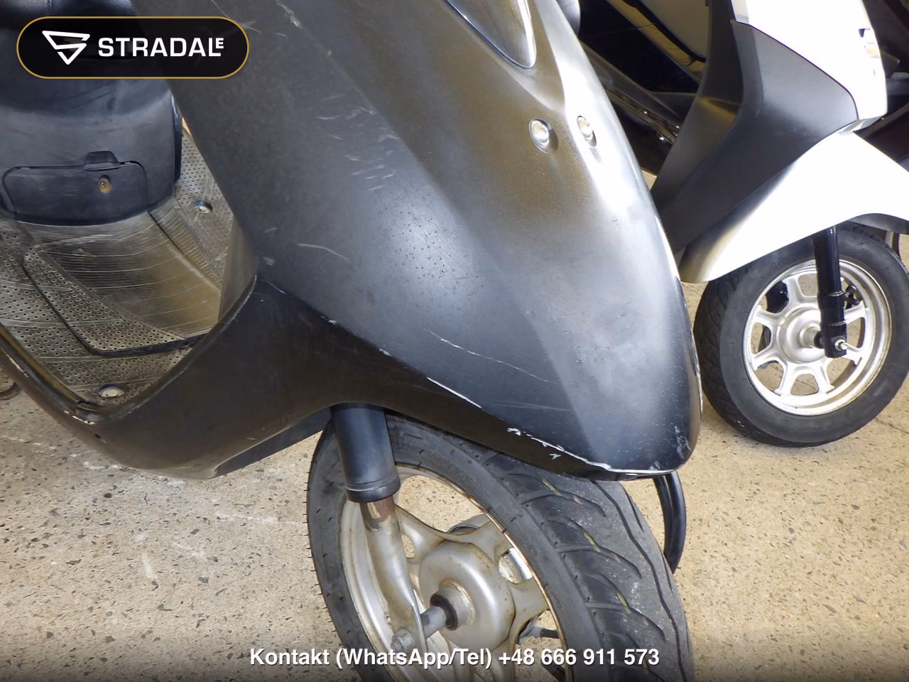 HONDA DIO-6, miniaturka 10
