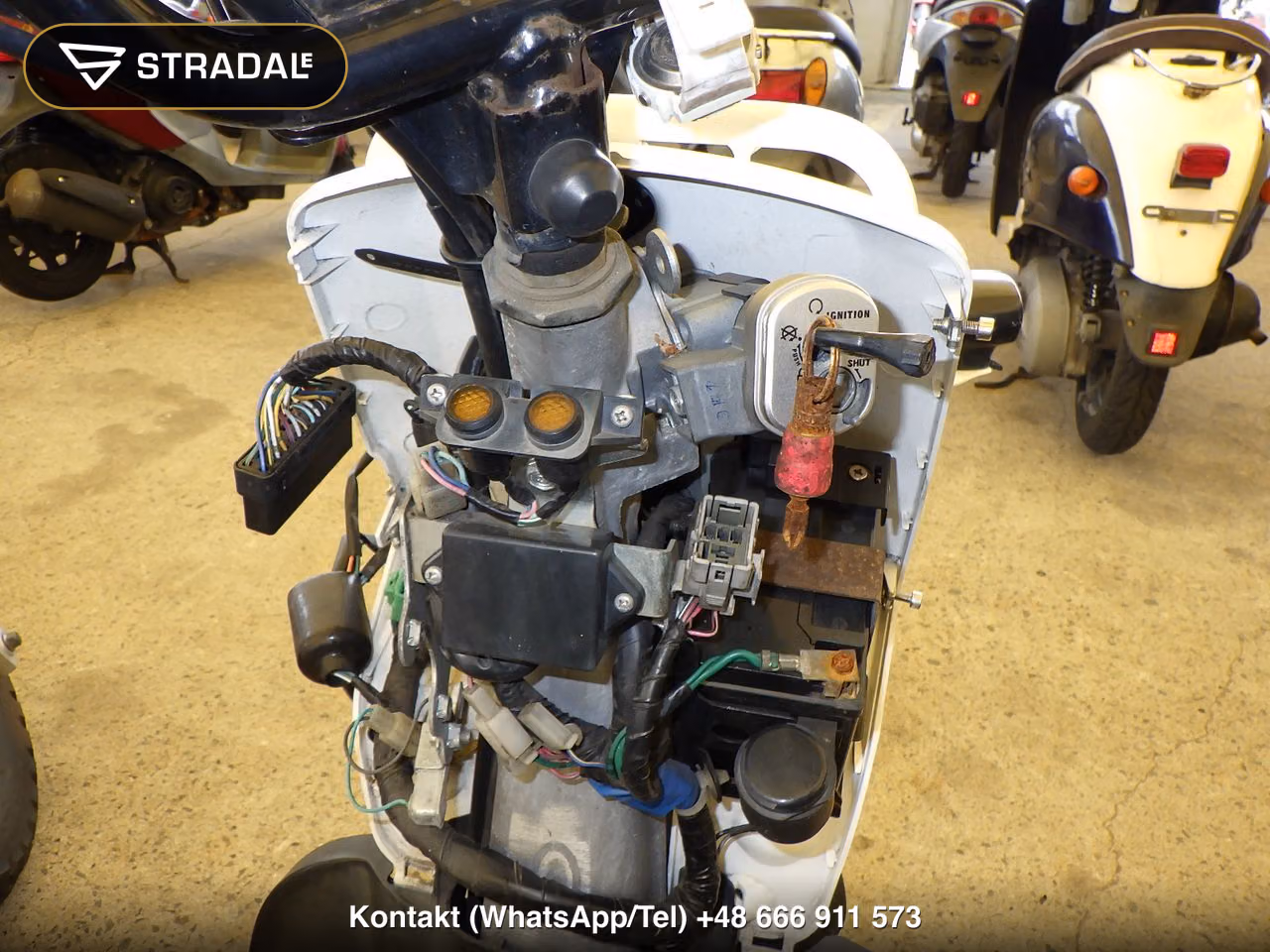 HONDA ｽﾞｰﾏｰ, miniaturka 12