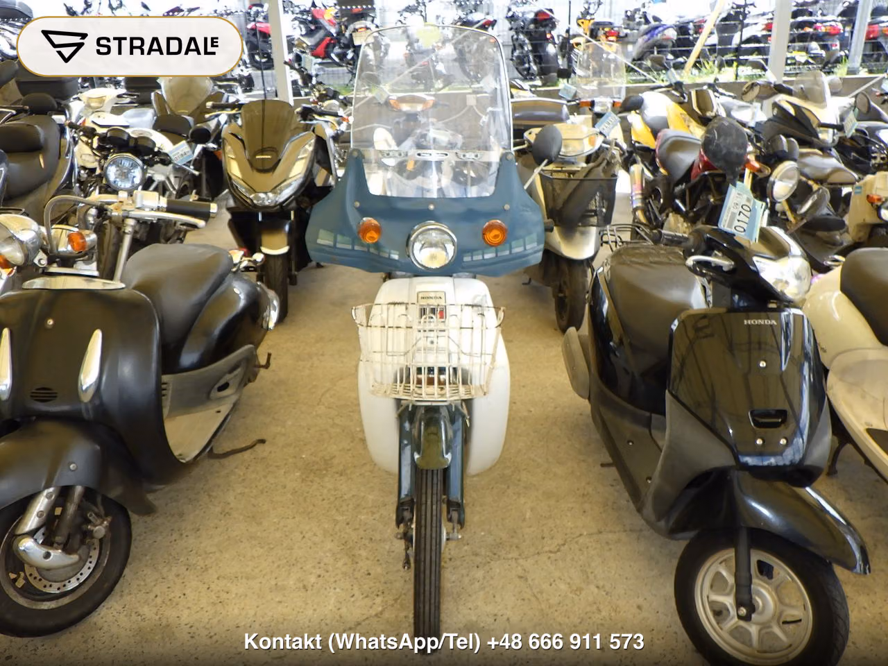 HONDA C50, miniaturka 6