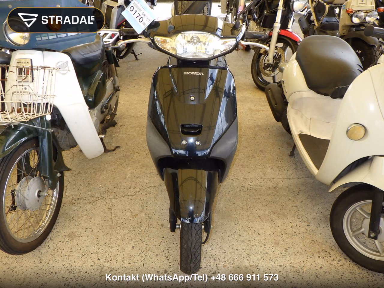 HONDA ﾀｸﾄ-4ﾍﾞｰｼｯｸ, miniaturka 6