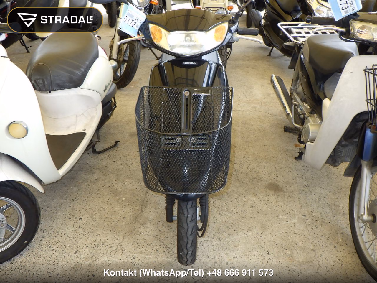 HONDA DIO-6, miniaturka 6