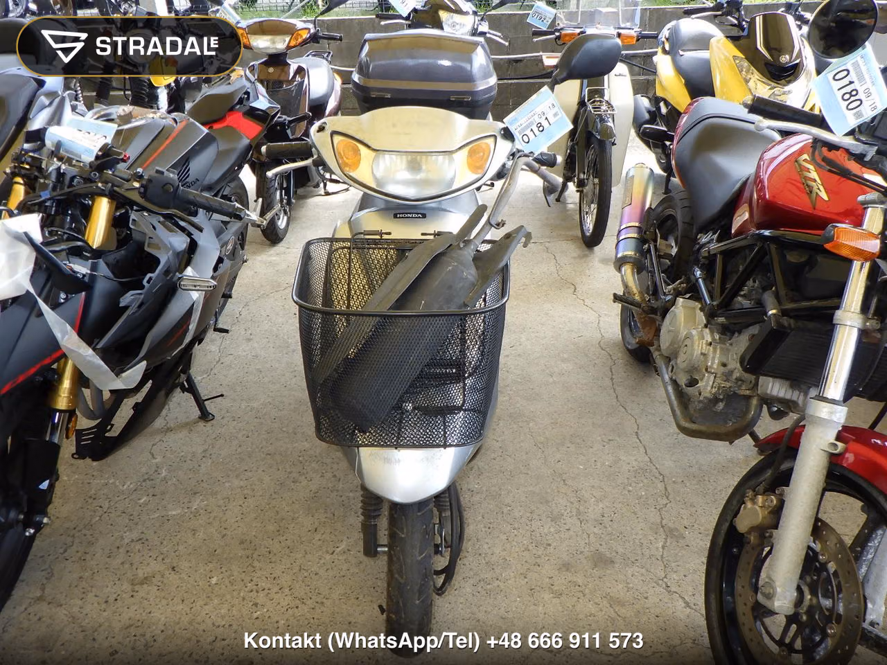 HONDA DIO-6, miniaturka 6