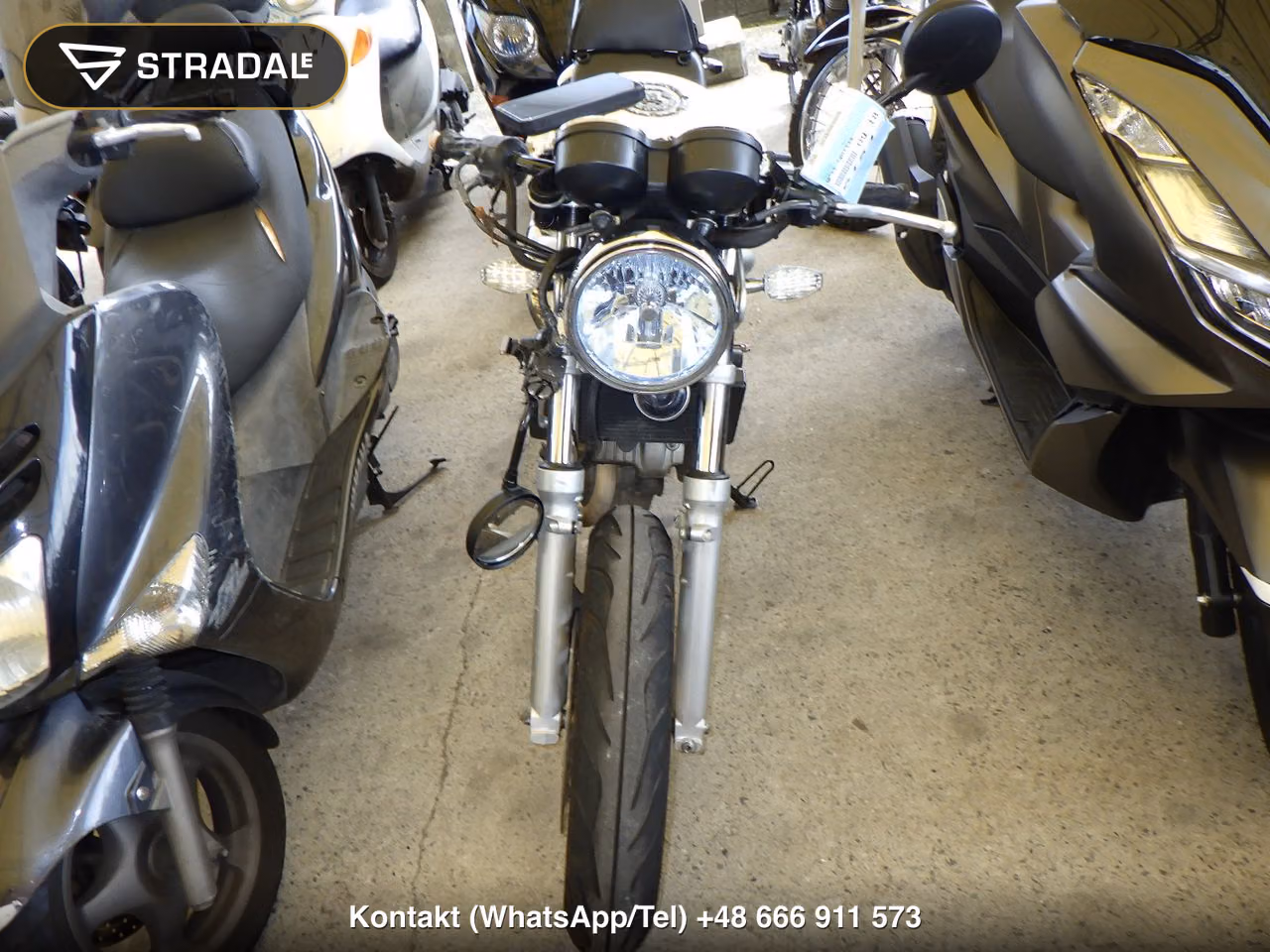 HONDA VTR250-2, miniaturka 6
