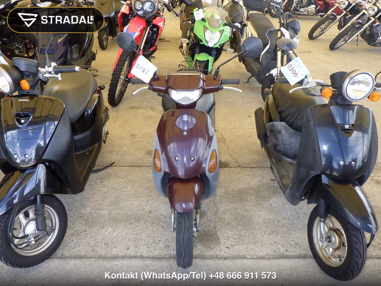 SUZUKI LET'S4, miniaturka 6