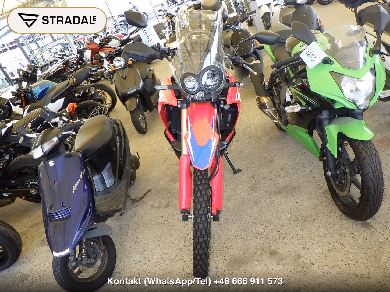 HONDA CRF250ﾗﾘｰ-2, miniaturka 6