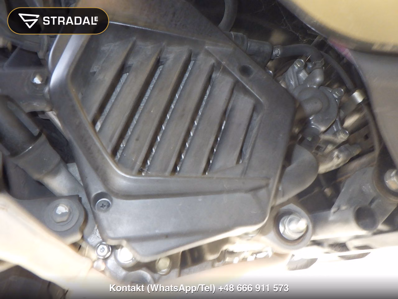 HONDA ﾀｸﾄ-4ﾍﾞｰｼｯｸ, miniaturka 3