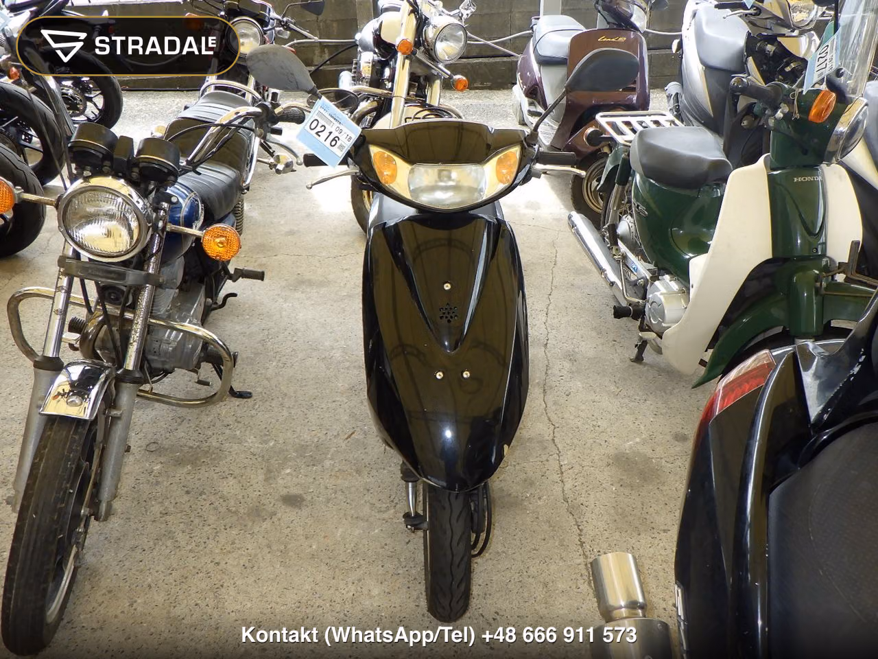HONDA DIO-6, miniaturka 6