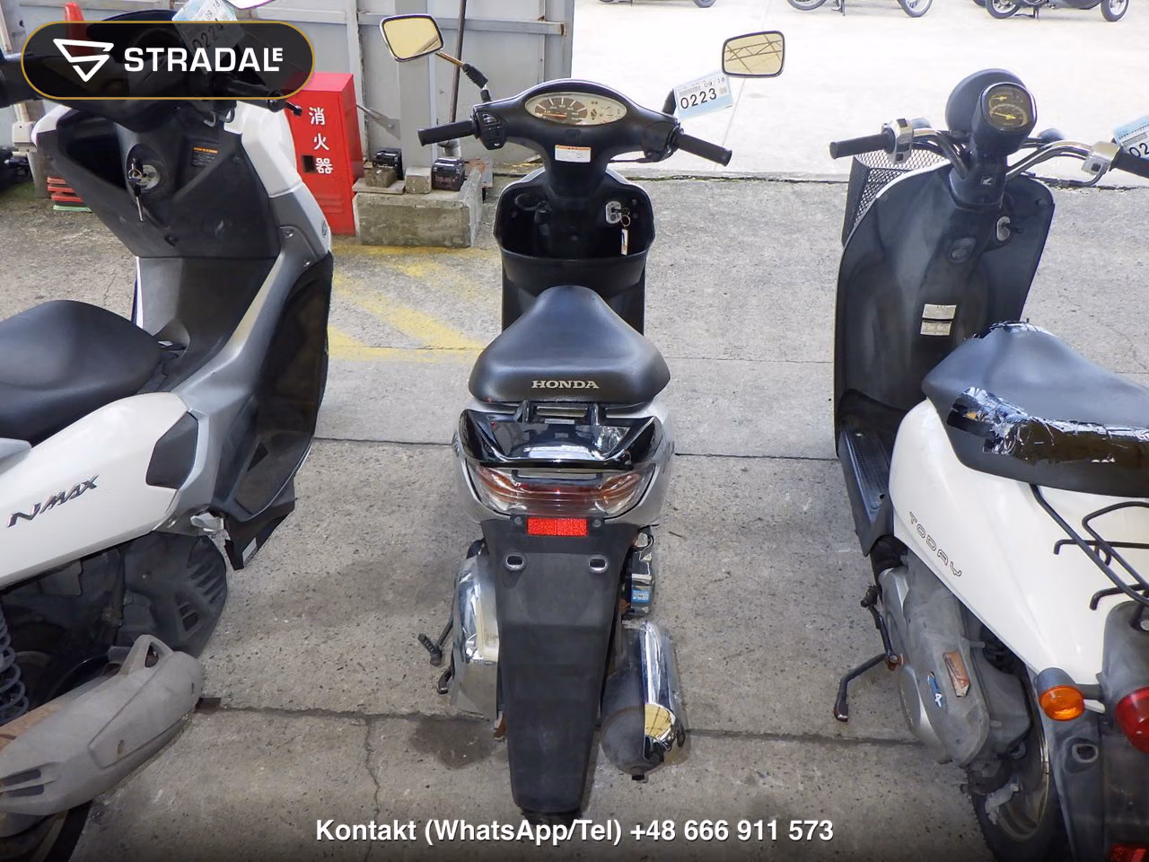 HONDA DIO-5, miniaturka 10