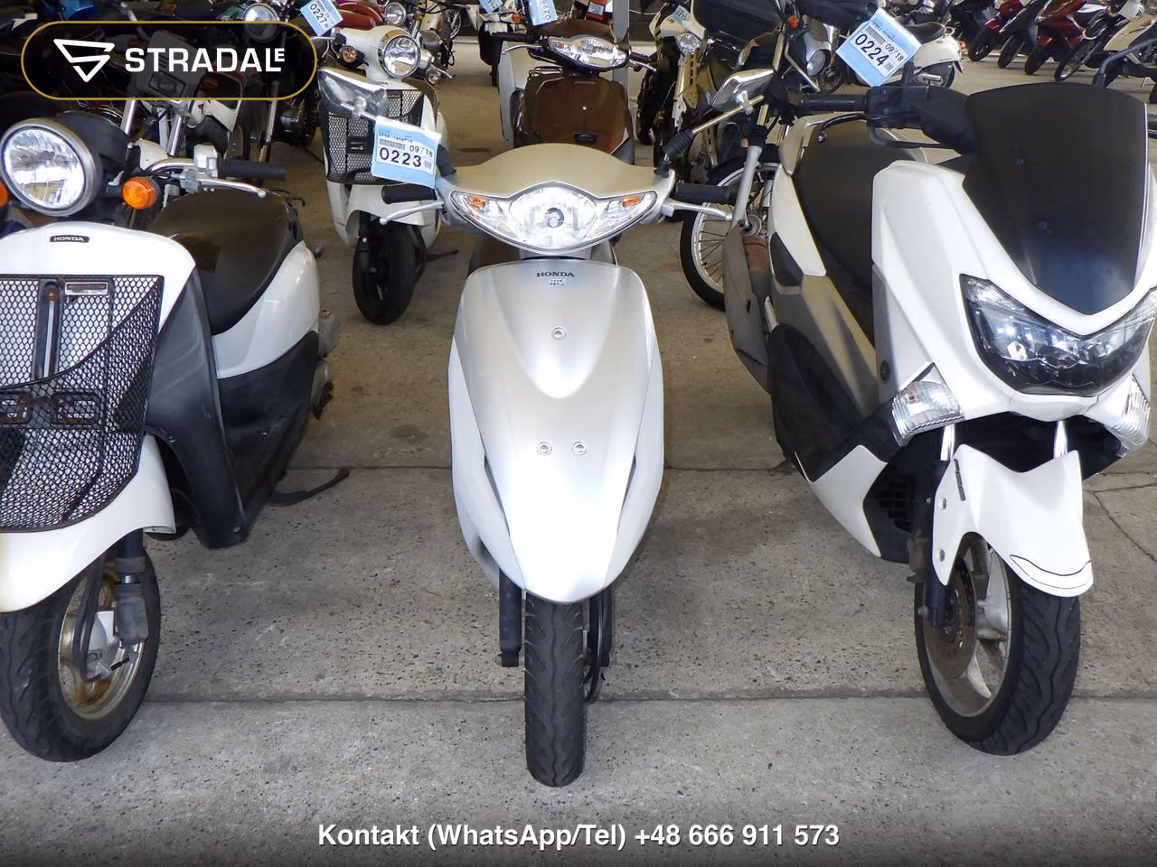 HONDA DIO-5, miniaturka 6