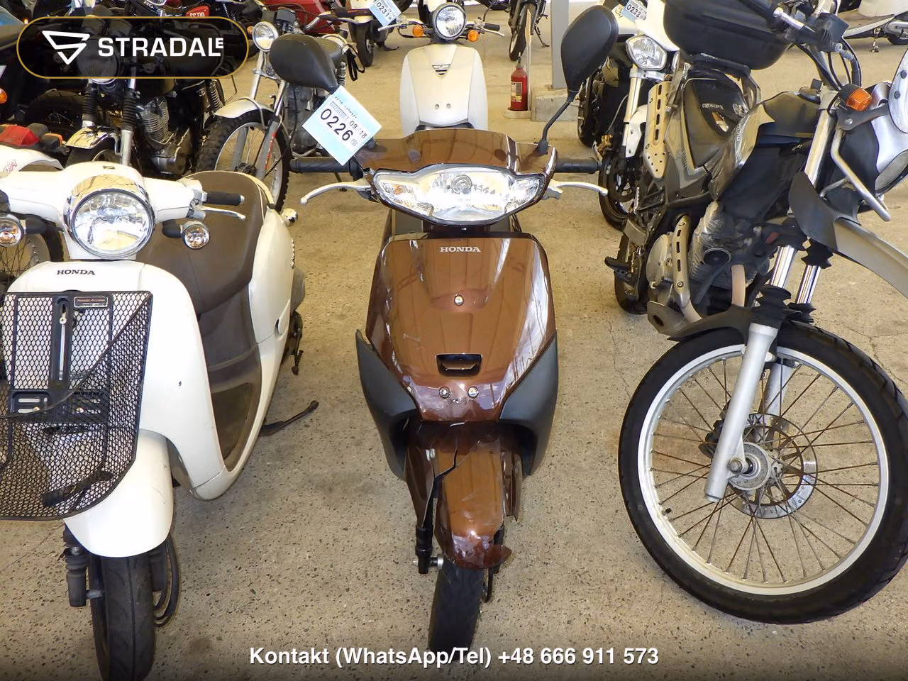 HONDA ﾀｸﾄ-4ﾍﾞｰｼｯｸ, miniaturka 6