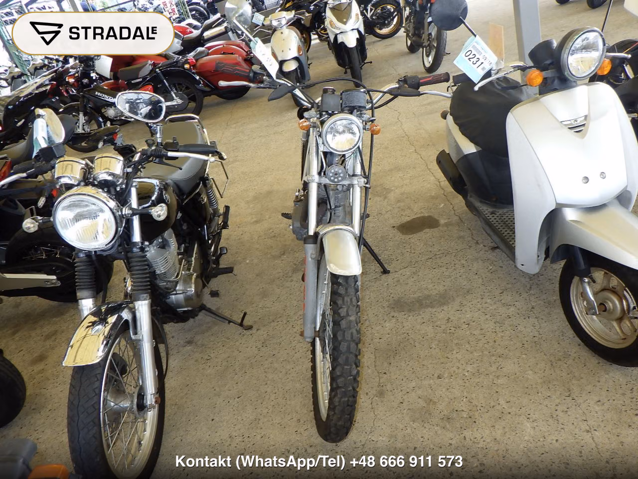 HONDA ｲｰﾊﾄｰﾌﾞ, miniaturka 6