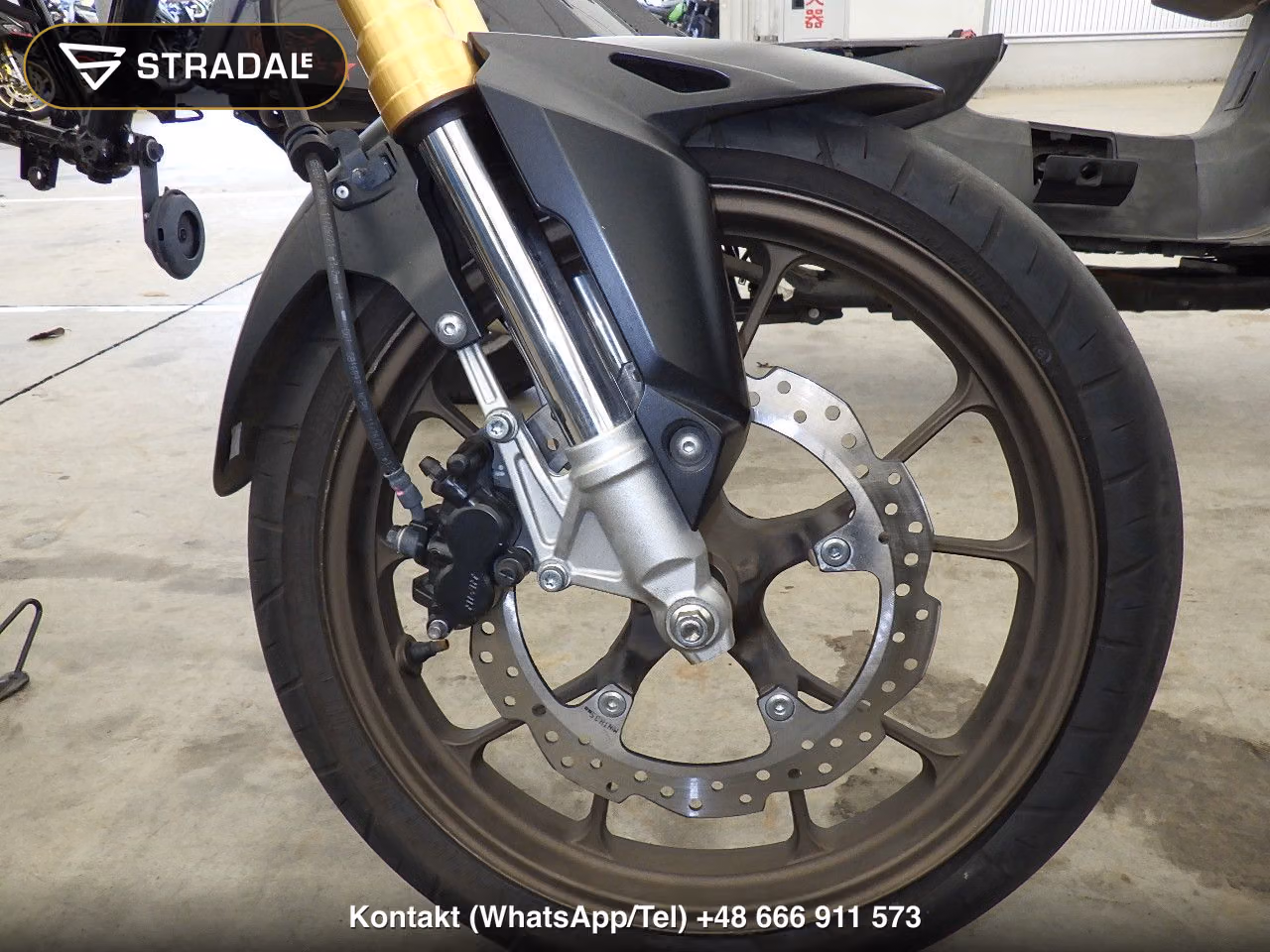 HONDA CBR150X(ｼｮﾙｲﾅｼ), miniaturka 4