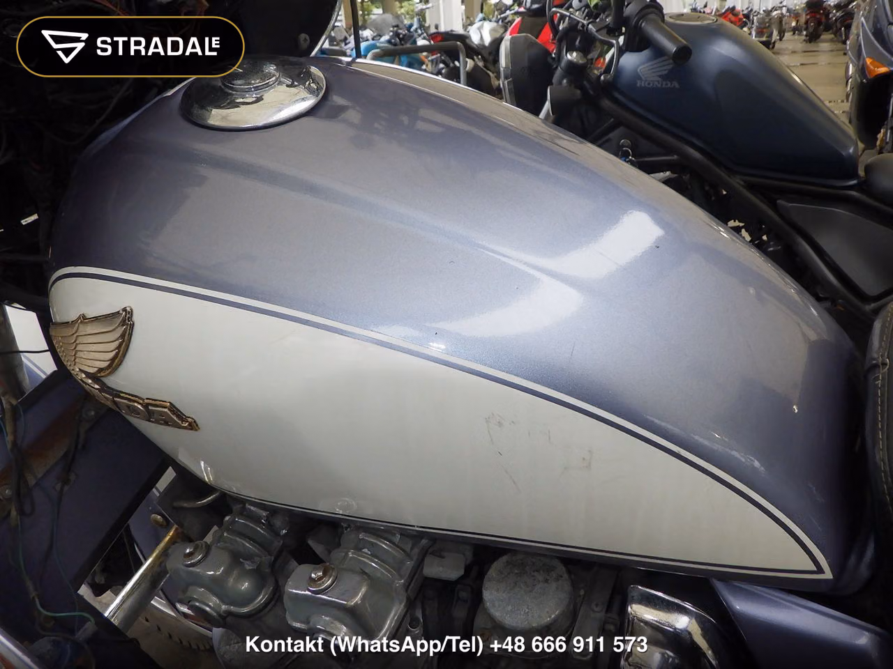 HONDA CB750ｶｽﾀﾑ(ｼｮﾙｲﾅｼ), miniaturka 11