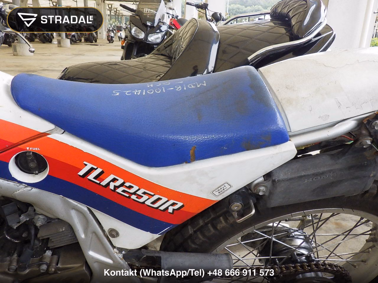 HONDA TLR250R(ｼｮﾙｲﾅｼ), miniaturka 12