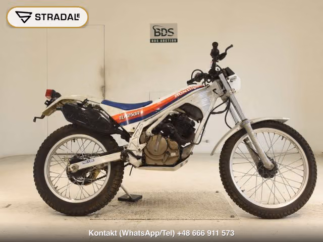 HONDA TLR250R(ショルイナシ), aukcja z Japonii, zdjęcie 1