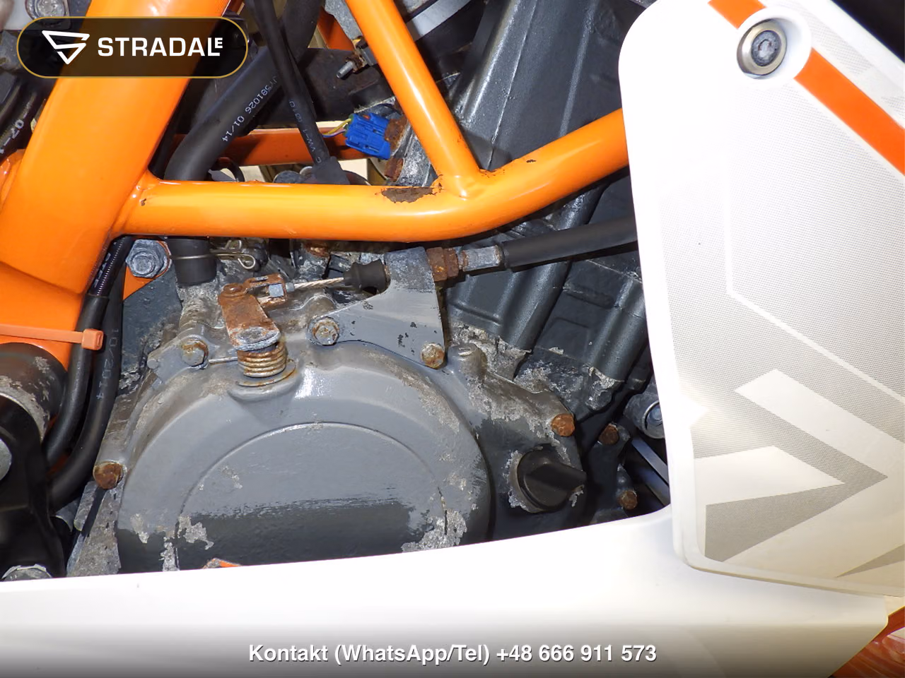KTM RC390(ｼｮﾙｲﾅｼ), miniaturka 3