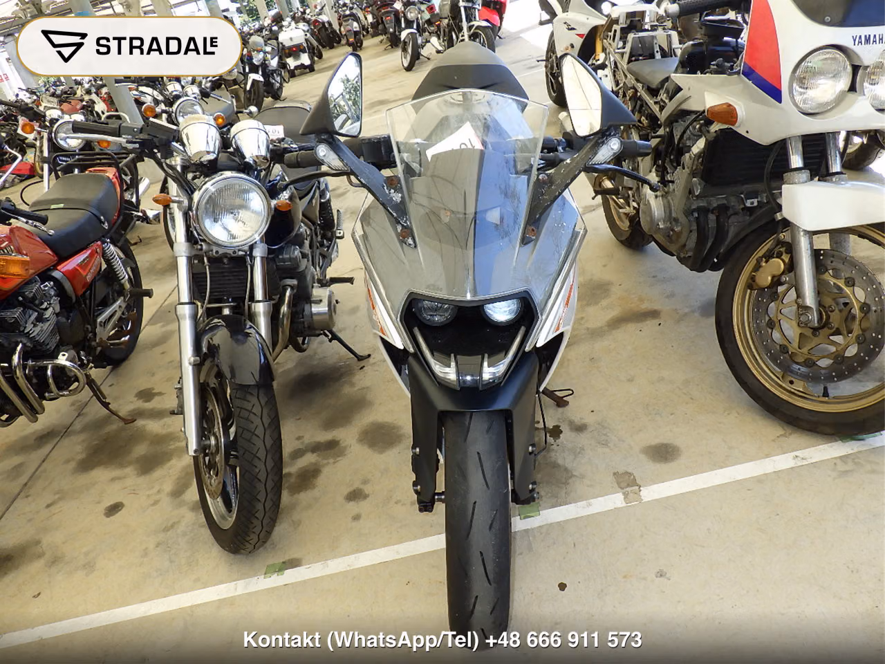 KTM RC390(ｼｮﾙｲﾅｼ), miniaturka 6