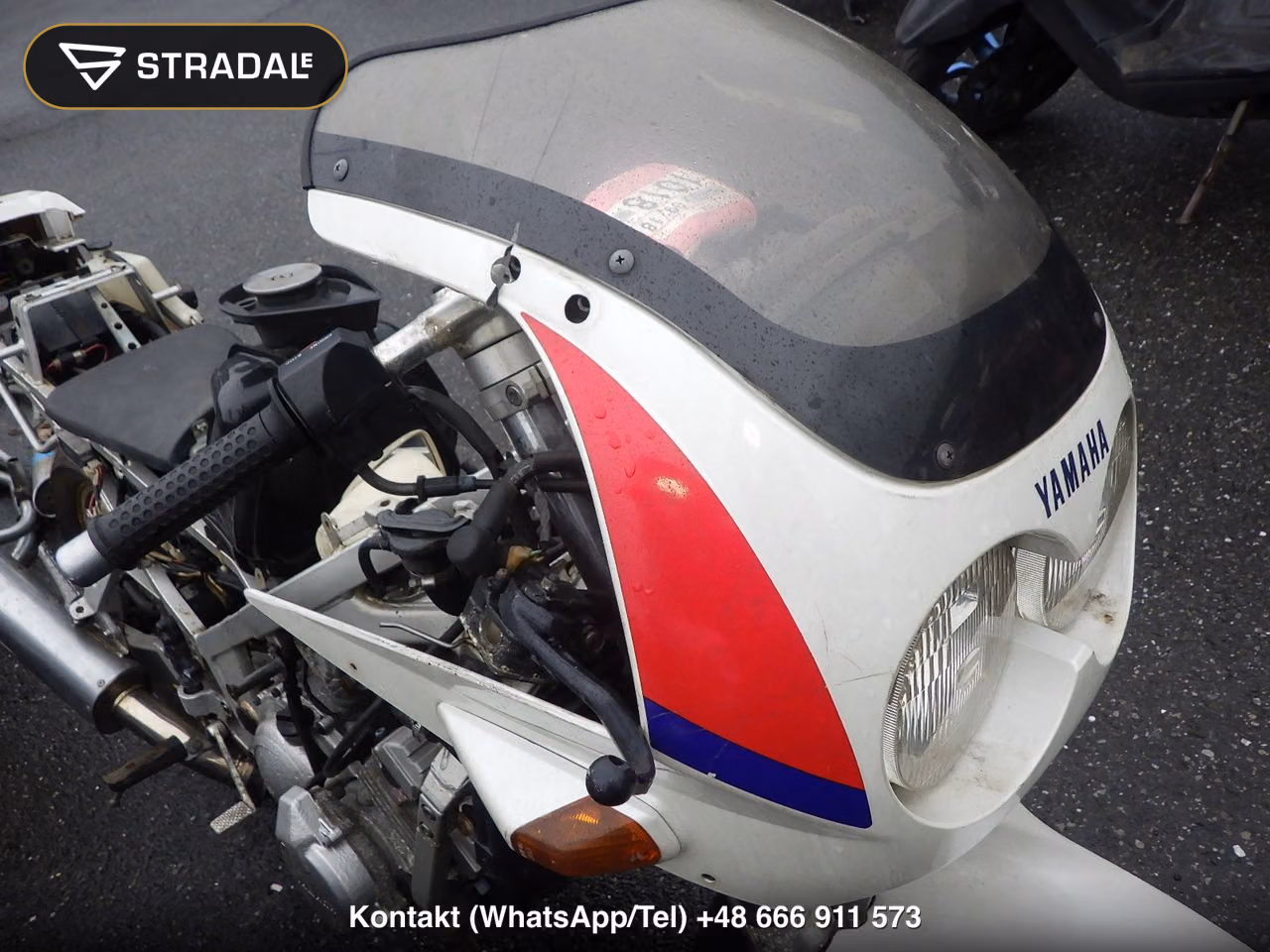 YAMAHA FZR250(ｼｮﾙｲﾅｼ), miniaturka 12