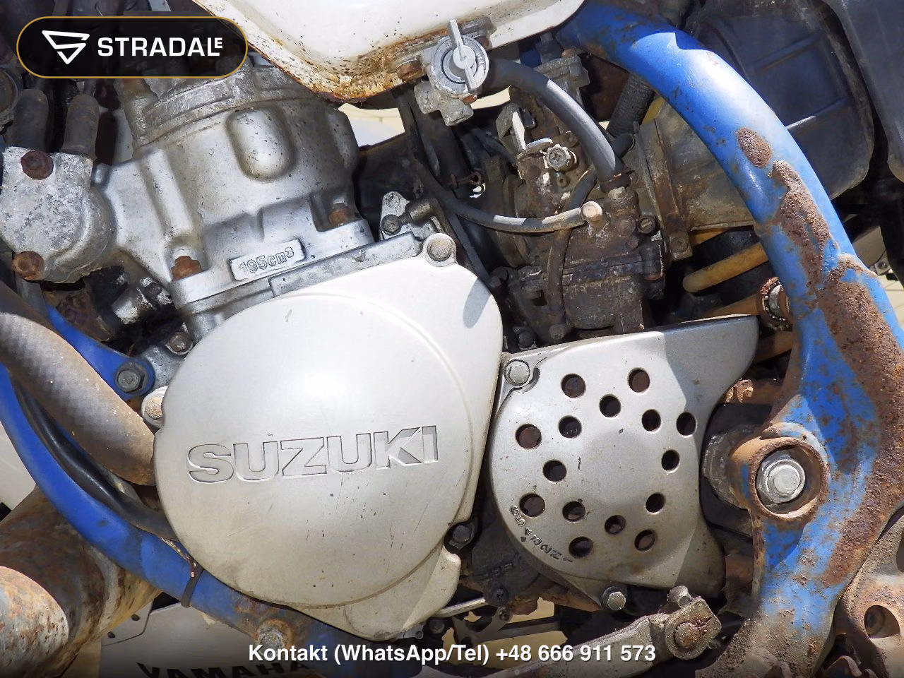 SUZUKI TS200R(ｼｮﾙｲﾅｼ), miniaturka 3