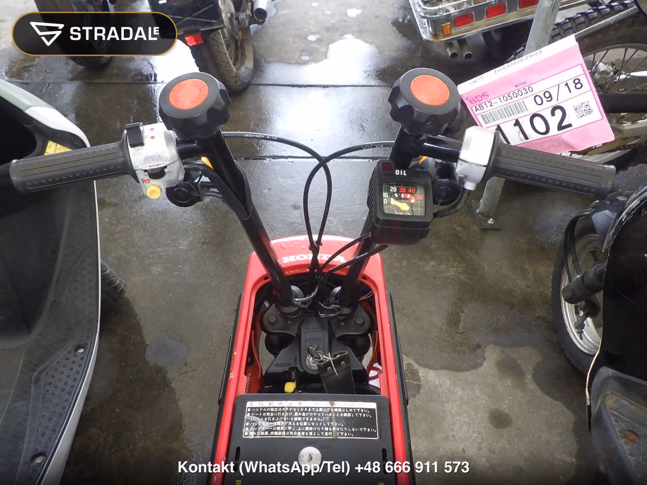 HONDA ﾓﾄｺﾝﾎﾟ, miniaturka 9