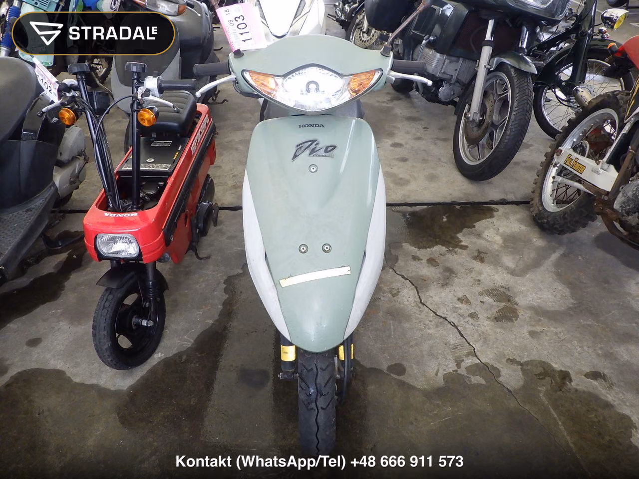 HONDA DIO-5, miniaturka 6