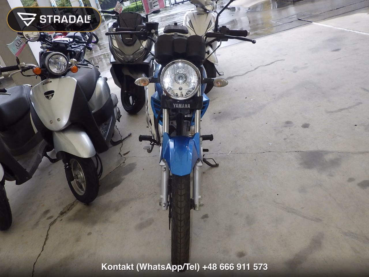 YAMAHA YBR125, miniaturka 6
