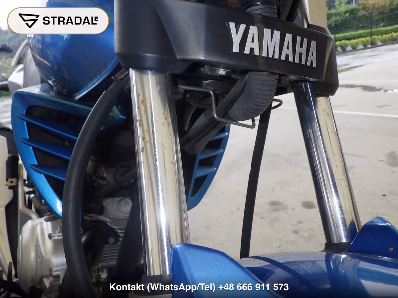 YAMAHA YBR125, miniaturka 8