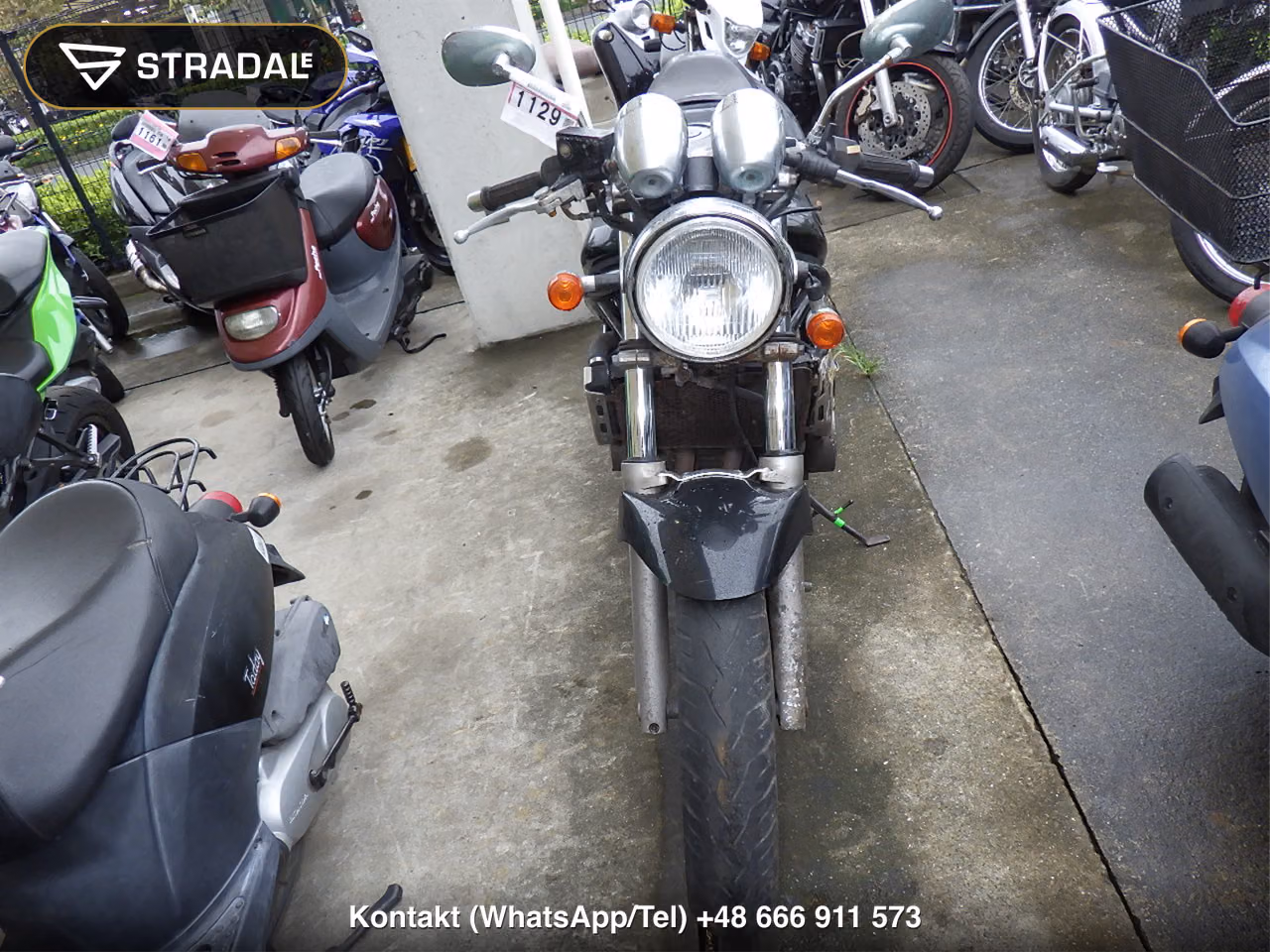 SUZUKI BANDIT250, miniaturka 6