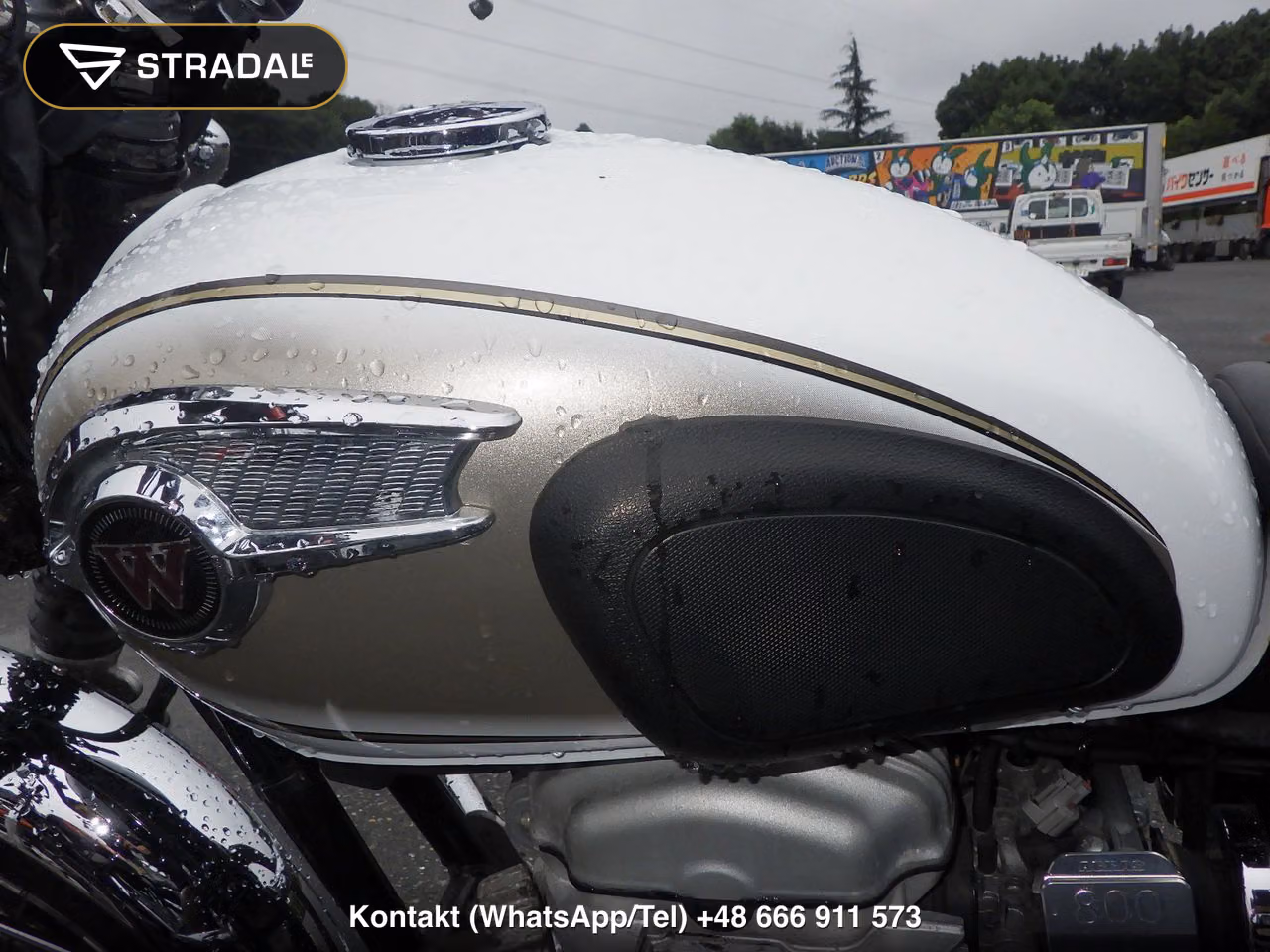 KAWASAKI W800, miniaturka 11