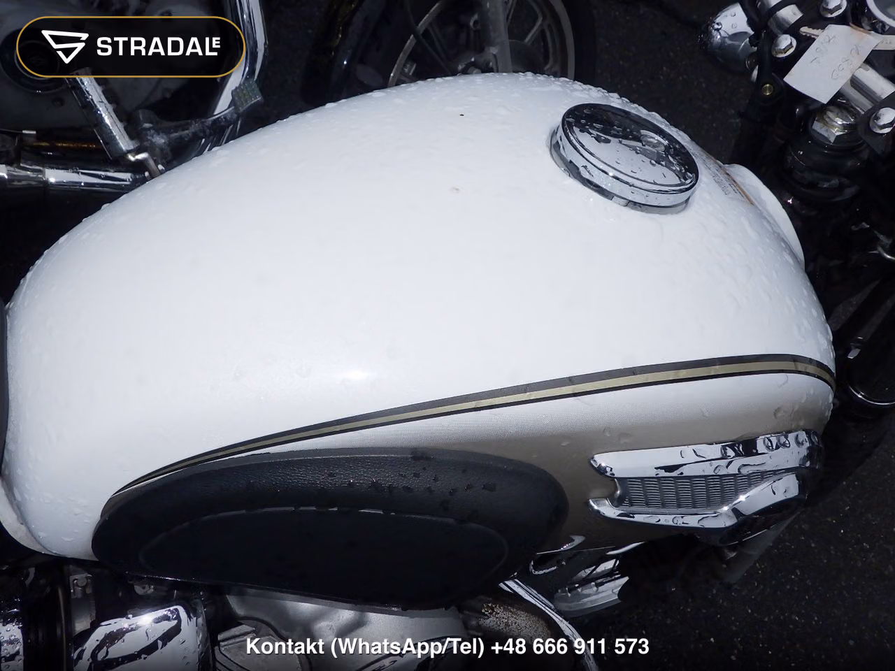 KAWASAKI W800, miniaturka 12