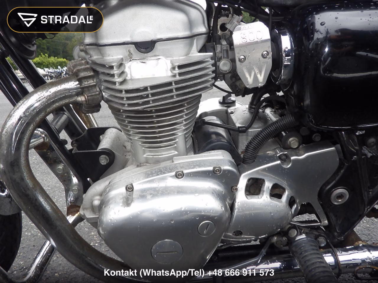 KAWASAKI W800, miniaturka 3