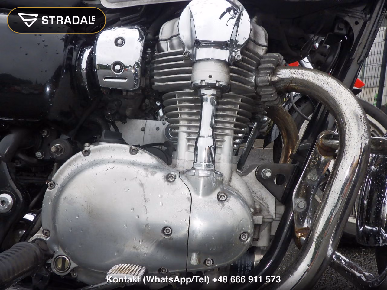 KAWASAKI W800, miniaturka 5