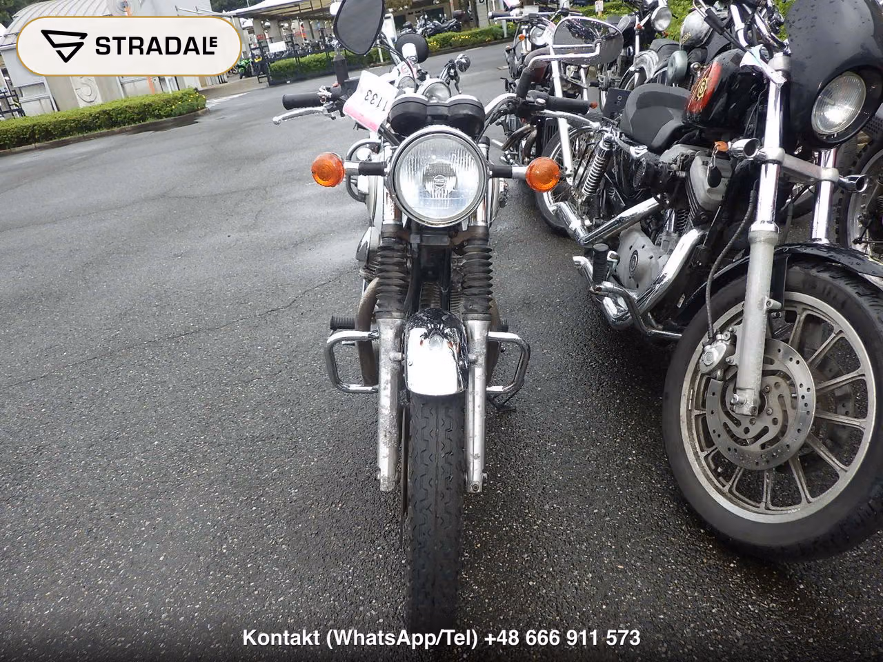 KAWASAKI W800, miniaturka 6