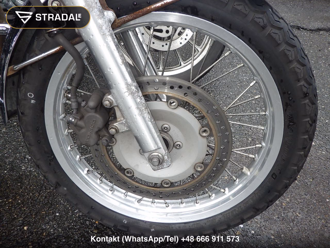 KAWASAKI W800, miniaturka 7