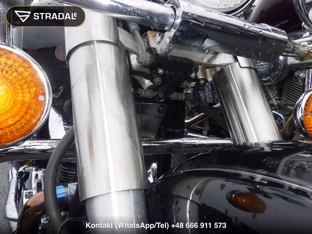 YAMAHA ﾄﾞﾗｯｸﾞｽﾀｰ1100ｸﾗｼｯｸ, miniaturka 8
