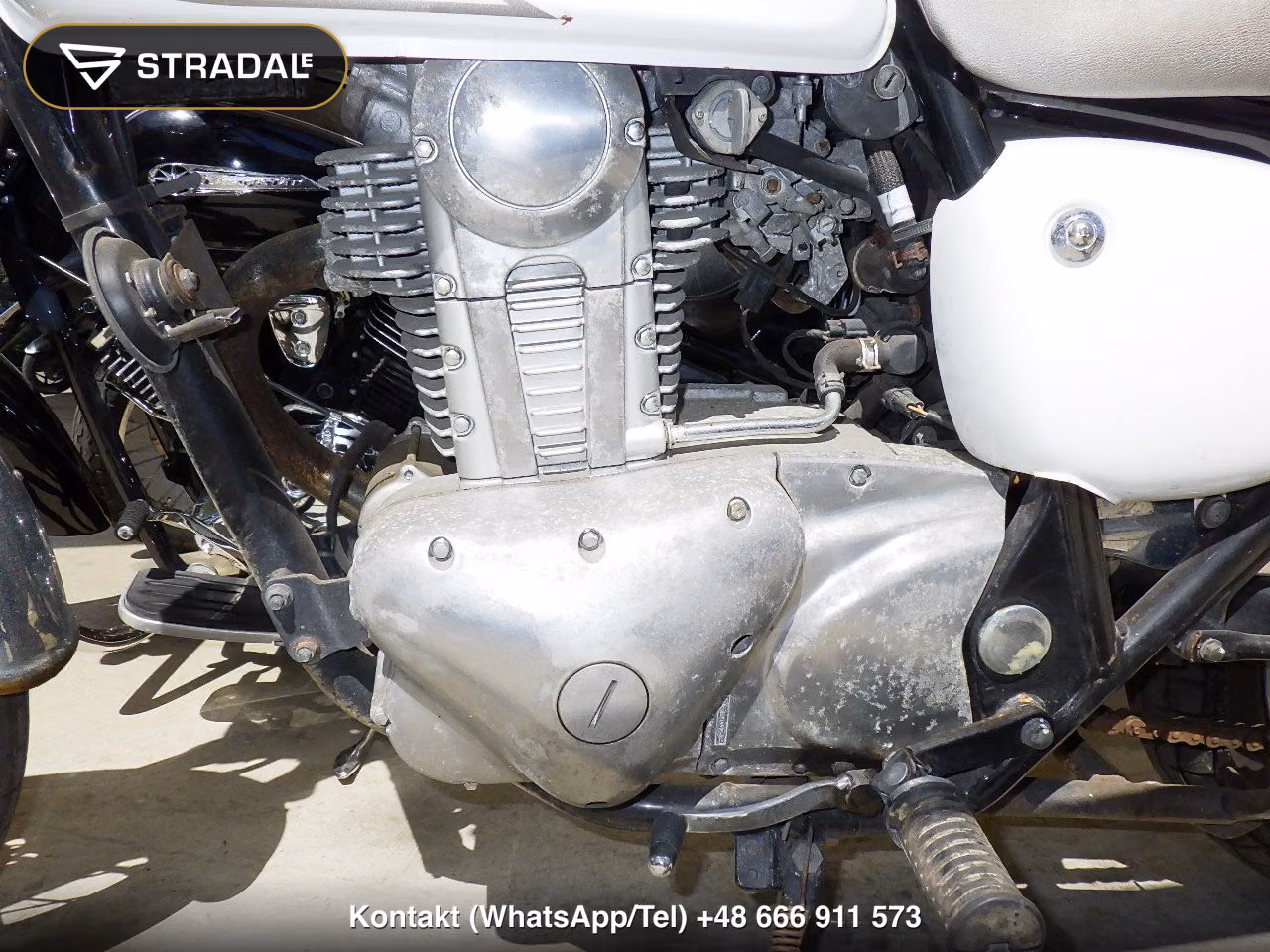 KAWASAKI ｴｽﾄﾚﾔ, miniaturka 3
