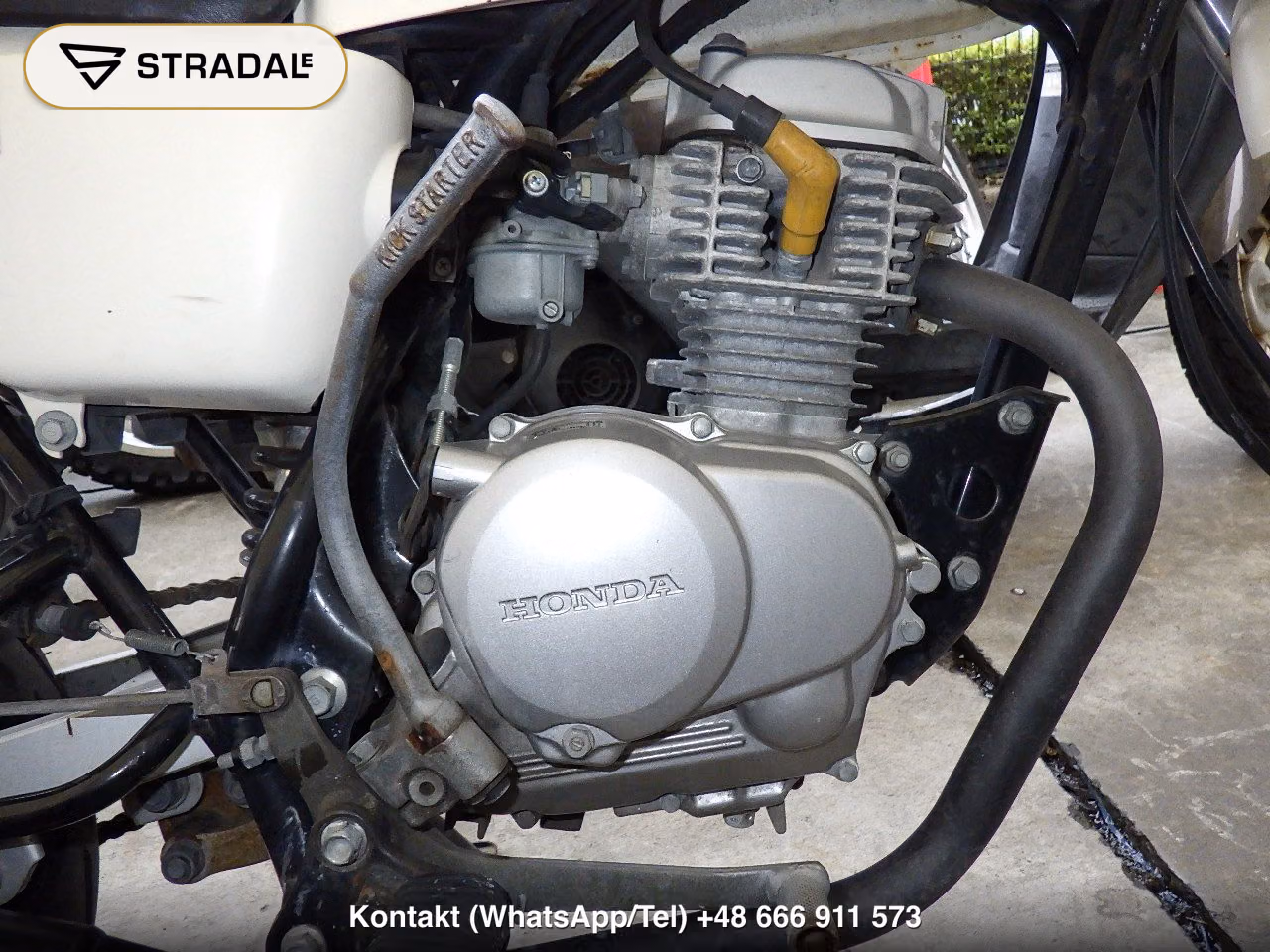 HONDA ｴｲﾌﾟ50, miniaturka 4