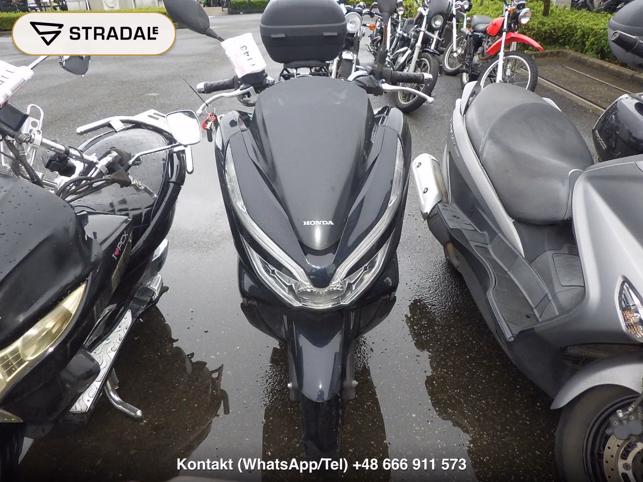 HONDA PCX150-3, miniaturka 6