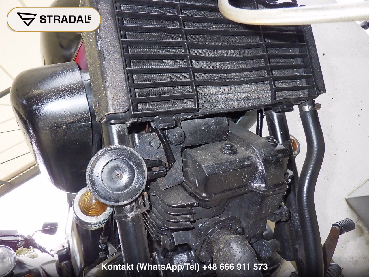 HONDA ﾏｸﾞﾅ250, miniaturka 4