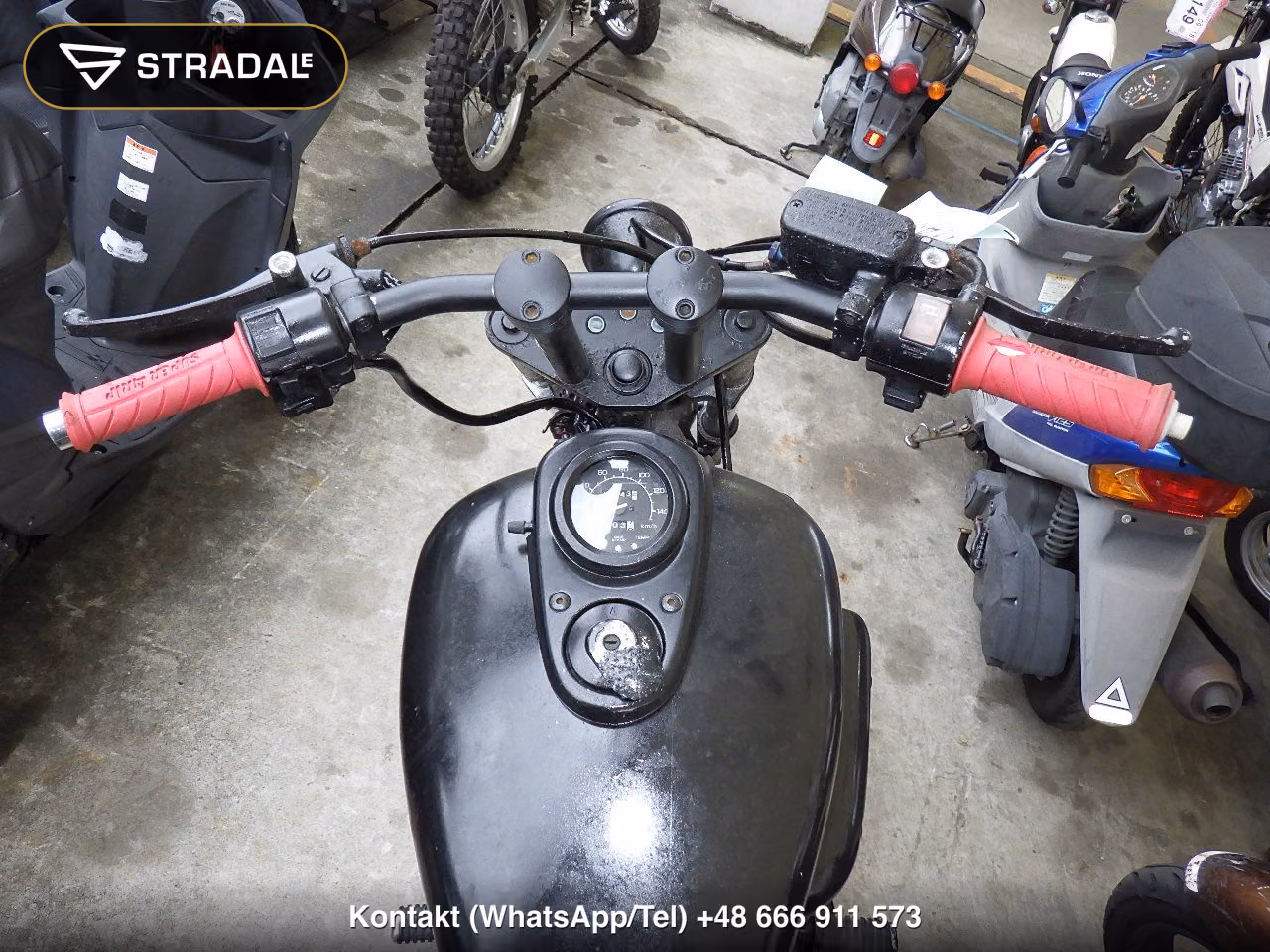 HONDA ﾏｸﾞﾅ250, miniaturka 9