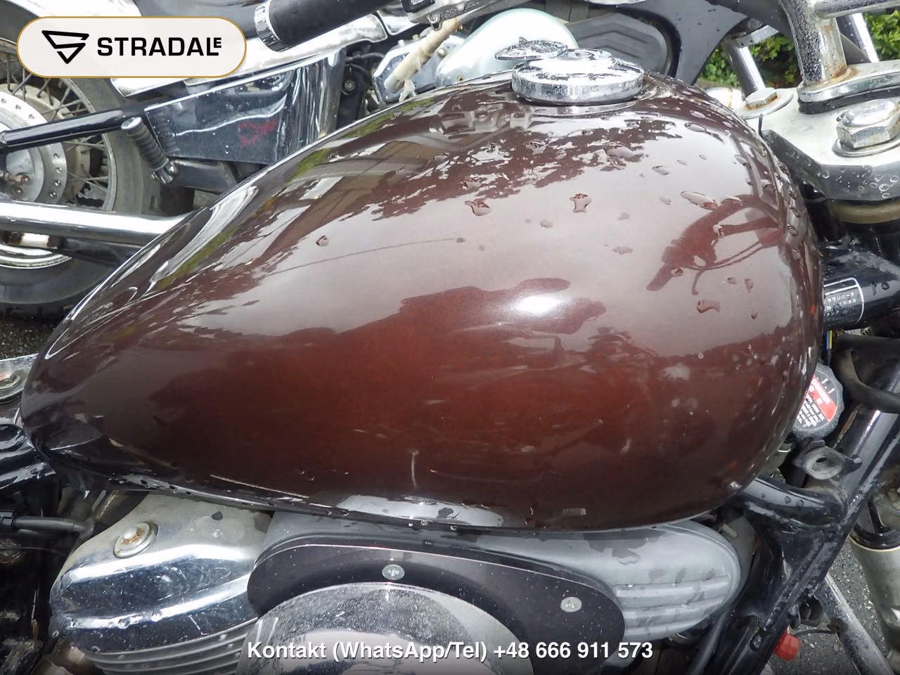 HONDA ｽﾃｨｰﾄﾞ400, miniaturka 12