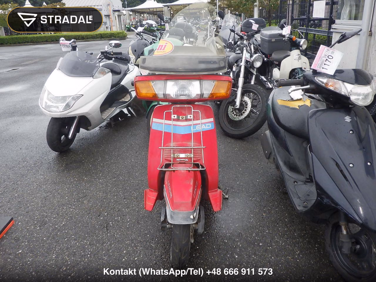 HONDA ﾘｰﾄﾞ125, miniaturka 6