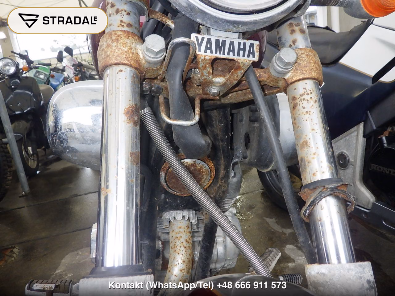YAMAHA ﾋﾞﾗｰｺﾞ250, miniaturka 8