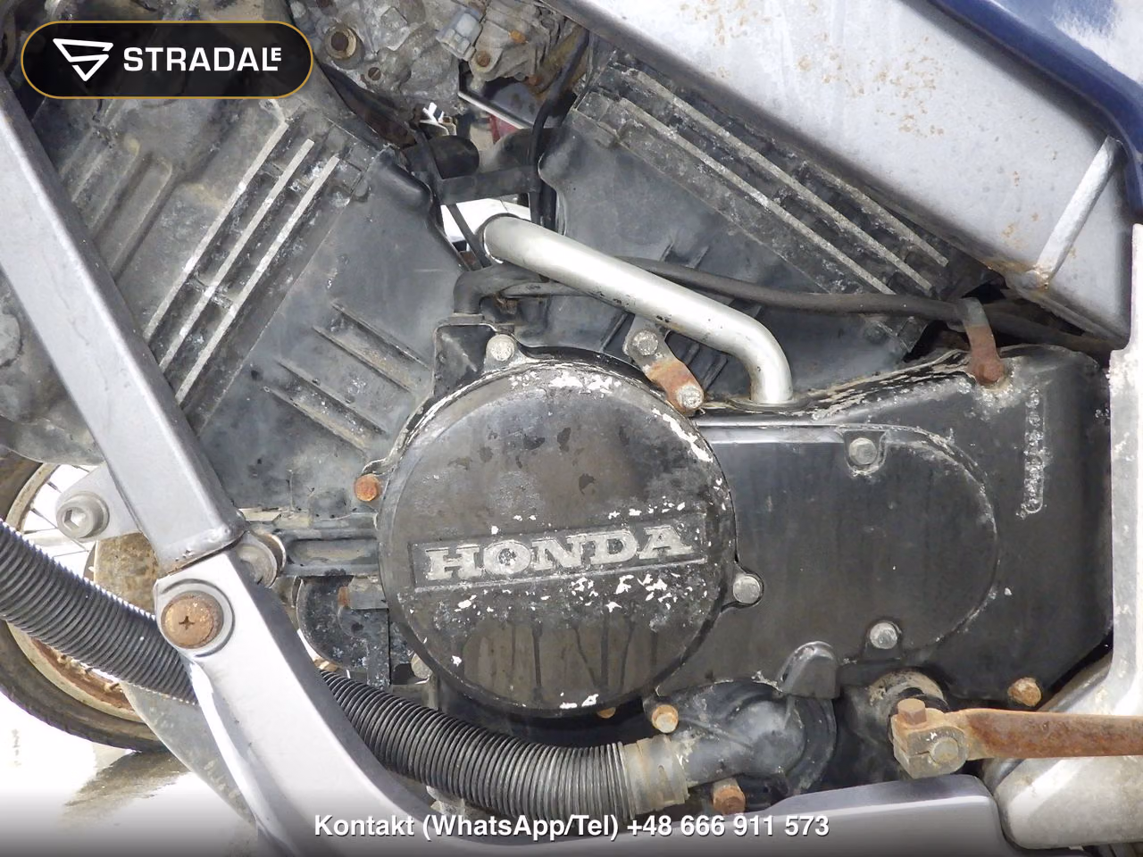 HONDA VTZ250, miniaturka 2