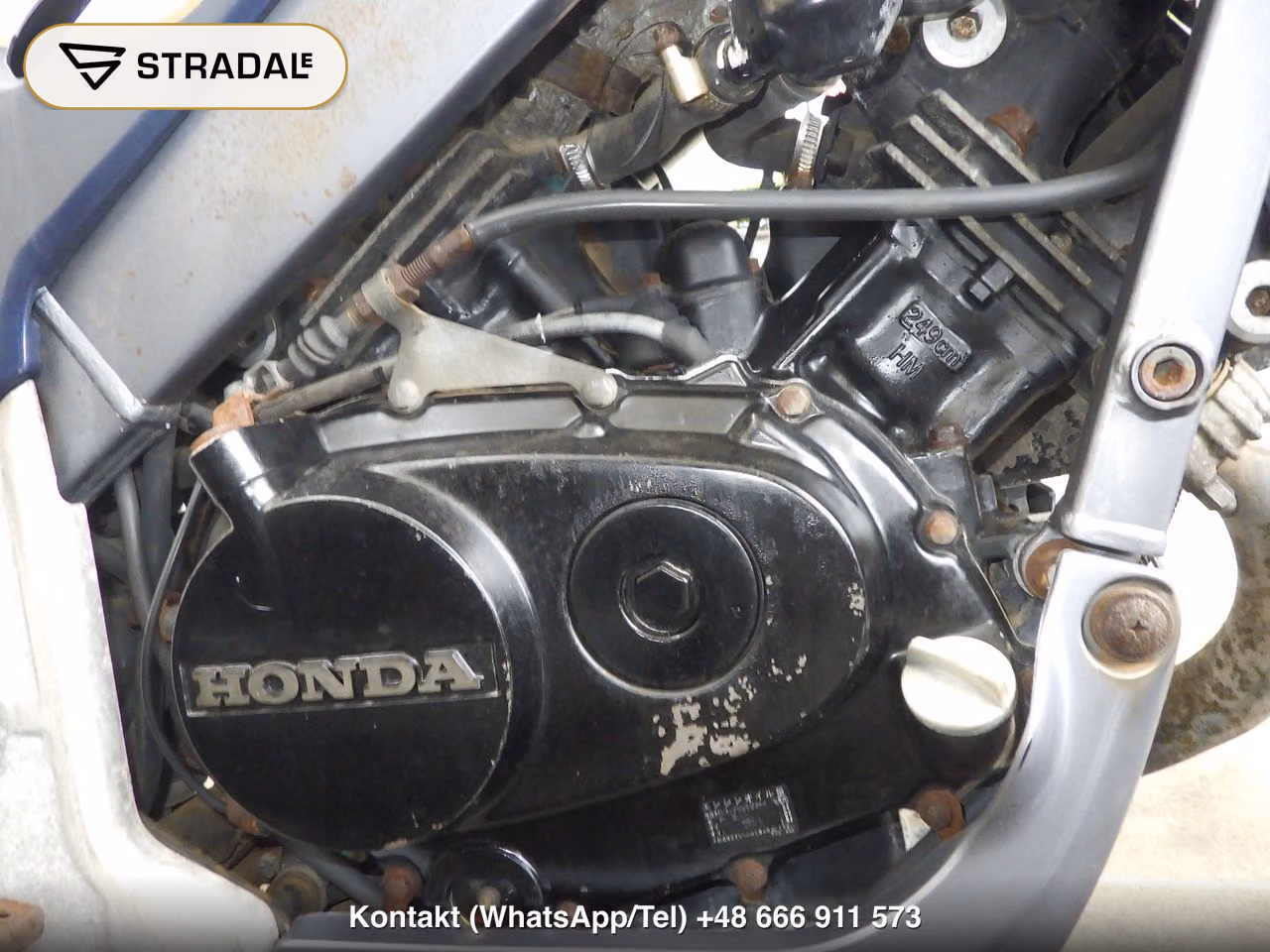HONDA VTZ250, miniaturka 3