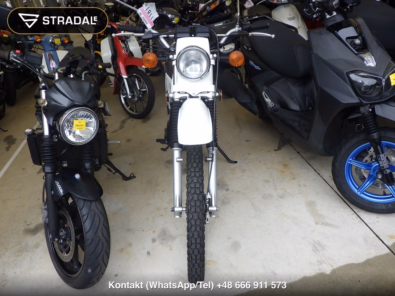 SUZUKI TS185, miniaturka 6
