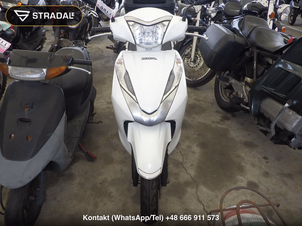 HONDA LEAD125, miniaturka 6