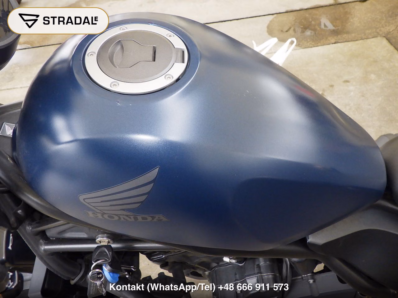 HONDA ﾚﾌﾞﾙ250A, miniaturka 12